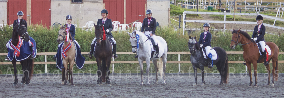 D-stevne Dressur m/ Finale oark cup